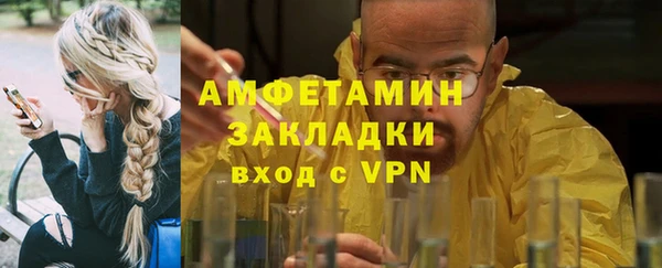 стаф Алзамай