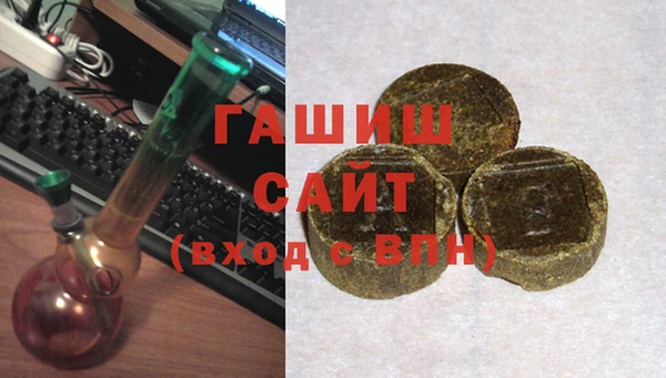 стаф Алзамай