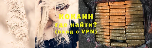 стаф Алзамай