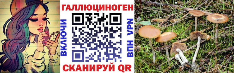 Галлюциногенные грибы Cubensis  Лодейное Поле 